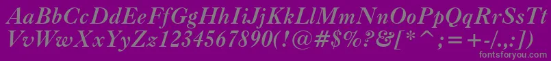 CaslonBoldItalicBt Font – Gray Fonts on Purple Background