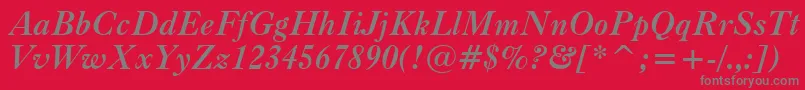 CaslonBoldItalicBt Font – Gray Fonts on Red Background