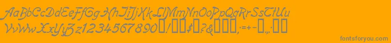 ReginaKursivItalic Font – Gray Fonts on Orange Background