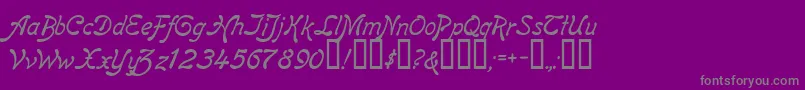 ReginaKursivItalic Font – Gray Fonts on Purple Background