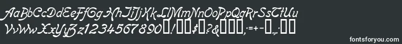 ReginaKursivItalic Font – White Fonts