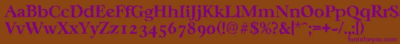 Шрифт CasablancarandomBold – фиолетовые шрифты на коричневом фоне