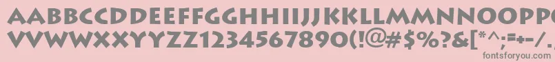 Ft89Bold Font – Gray Fonts on Pink Background