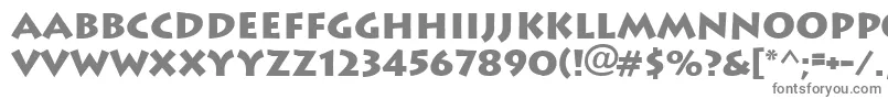 フォントFt89Bold – 白い背景に灰色の文字