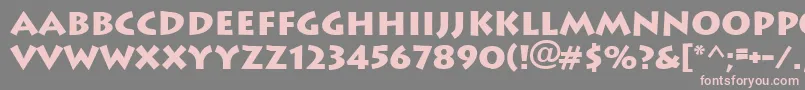 Ft89Bold Font – Pink Fonts on Gray Background