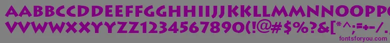 Ft89Bold Font – Purple Fonts on Gray Background
