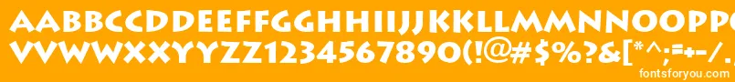 Ft89Bold Font – White Fonts on Orange Background