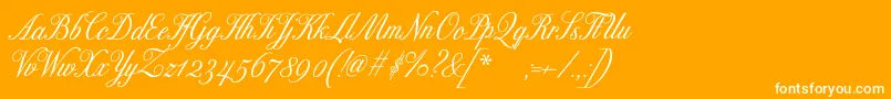 ExcelsorscriptBold Font – White Fonts on Orange Background