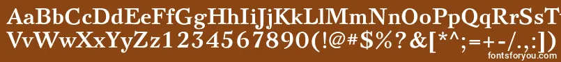 フォントSvetlanacBold – 茶色の背景に白い文字