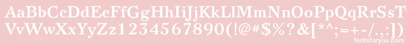 SvetlanacBold Font – White Fonts on Pink Background