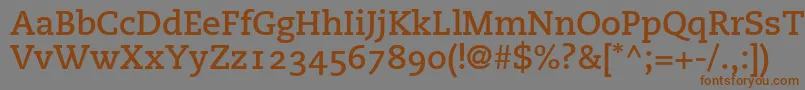 PmnCaecilia75BoldOldstyleFigures Font – Brown Fonts on Gray Background