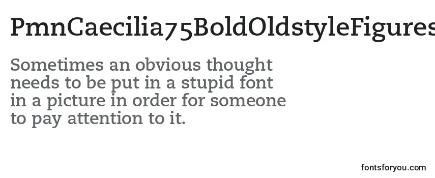 Review of the PmnCaecilia75BoldOldstyleFigures Font