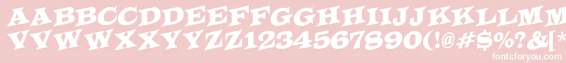 LatinotitulspupRegular Font – White Fonts on Pink Background