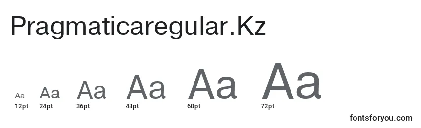Размеры шрифта Pragmaticaregular.Kz