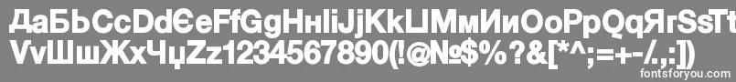 フォントKyrillasansserifBlack – 灰色の背景に白い文字