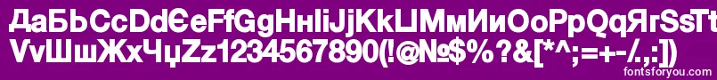 KyrillasansserifBlack Font – White Fonts on Purple Background