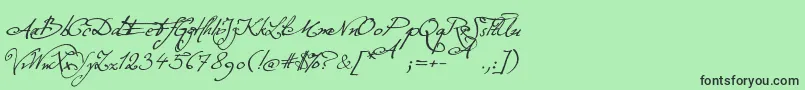 Шрифт ExcellentiaInExcelsis – чёрные шрифты на зелёном фоне