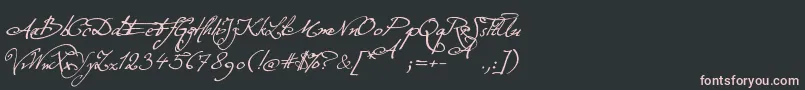 ExcellentiaInExcelsis-Schriftart – Rosa Schriften auf schwarzem Hintergrund