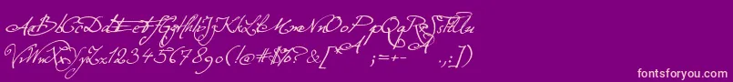 ExcellentiaInExcelsis Font – Pink Fonts on Purple Background