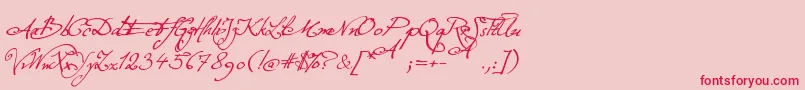 ExcellentiaInExcelsis Font – Red Fonts on Pink Background