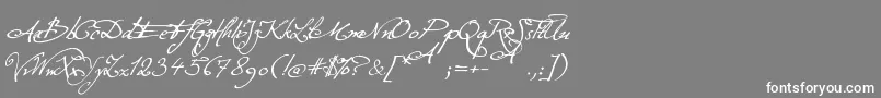 ExcellentiaInExcelsis Font – White Fonts on Gray Background