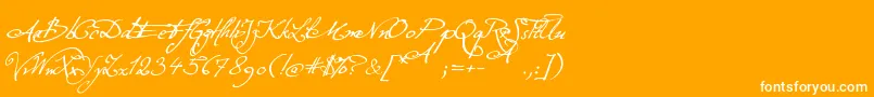 Шрифт ExcellentiaInExcelsis – белые шрифты на оранжевом фоне