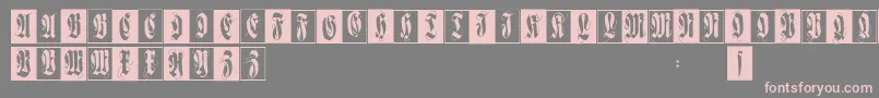 Flourishfraxcaps Font – Pink Fonts on Gray Background