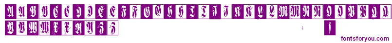 Flourishfraxcaps Font – Purple Fonts