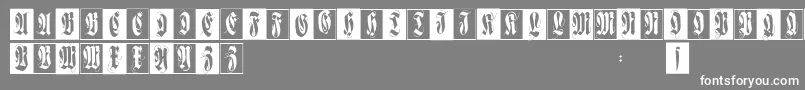 Шрифт Flourishfraxcaps – белые шрифты на сером фоне
