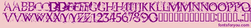 Blasphem Font – Purple Fonts on Pink Background