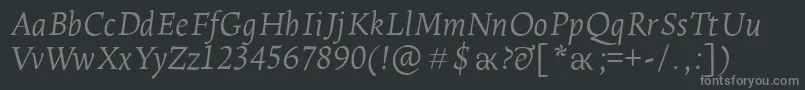 LeksaproLightItalic Font – Gray Fonts on Black Background