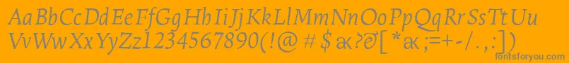 LeksaproLightItalic Font – Gray Fonts on Orange Background