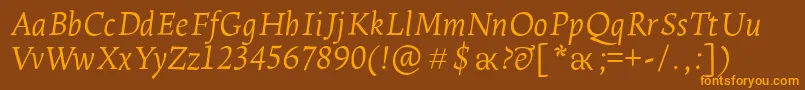 LeksaproLightItalic Font – Orange Fonts on Brown Background