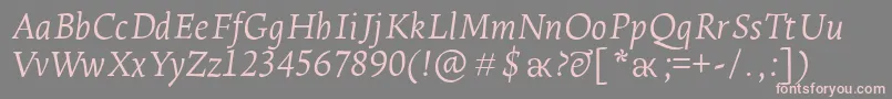 LeksaproLightItalic Font – Pink Fonts on Gray Background