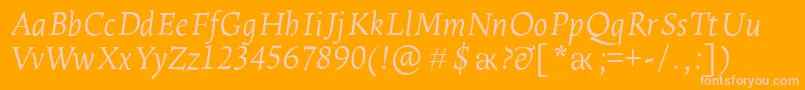 LeksaproLightItalic Font – Pink Fonts on Orange Background