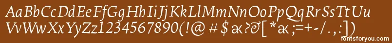 フォントLeksaproLightItalic – 茶色の背景に白い文字