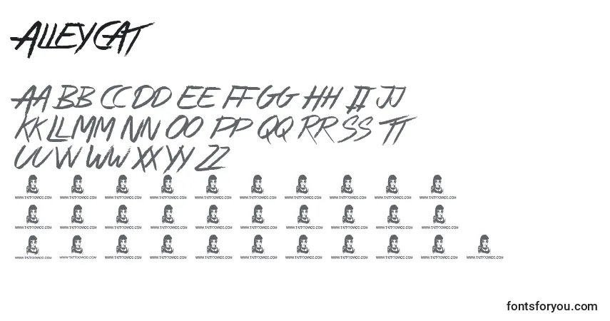 Czcionka AlleyCat – alfabet, cyfry, specjalne znaki