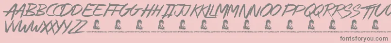AlleyCat Font – Gray Fonts on Pink Background