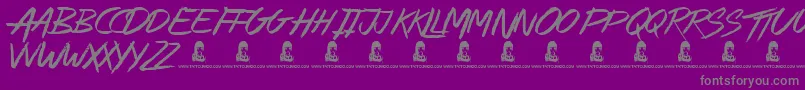 AlleyCat Font – Gray Fonts on Purple Background