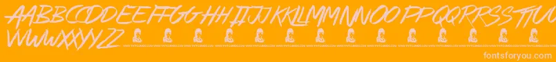 AlleyCat Font – Pink Fonts on Orange Background