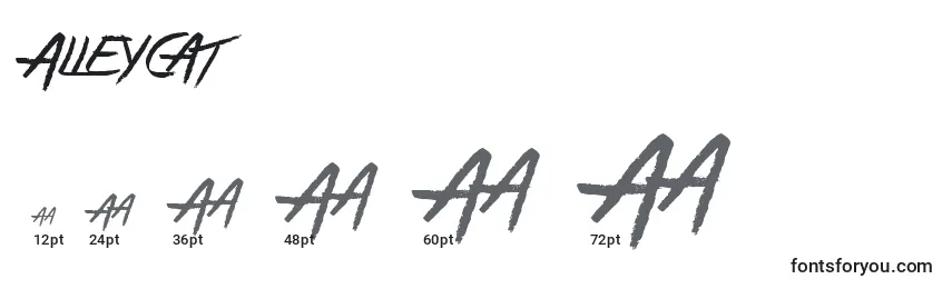 AlleyCat Font Sizes