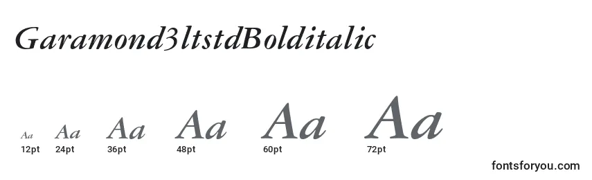 Garamond3ltstdBolditalic Font Sizes