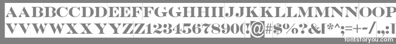 ASerifertitulsl Font – White Fonts on Gray Background