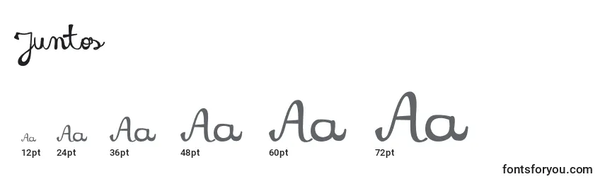 Juntos Font Sizes