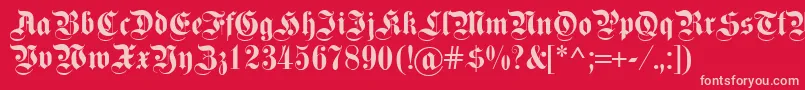 Fettekanzlei Font – Pink Fonts on Red Background