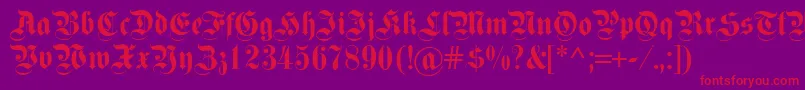 Fettekanzlei Font – Red Fonts on Purple Background