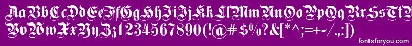 Fettekanzlei Font – White Fonts on Purple Background