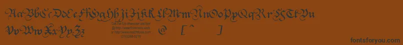 Squatt Font – Black Fonts on Brown Background