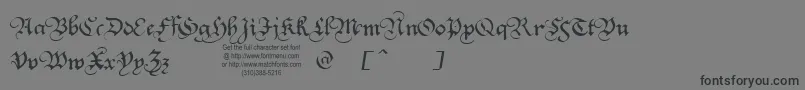 Squatt Font – Black Fonts on Gray Background
