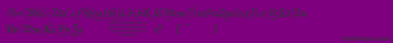 Squatt Font – Black Fonts on Purple Background